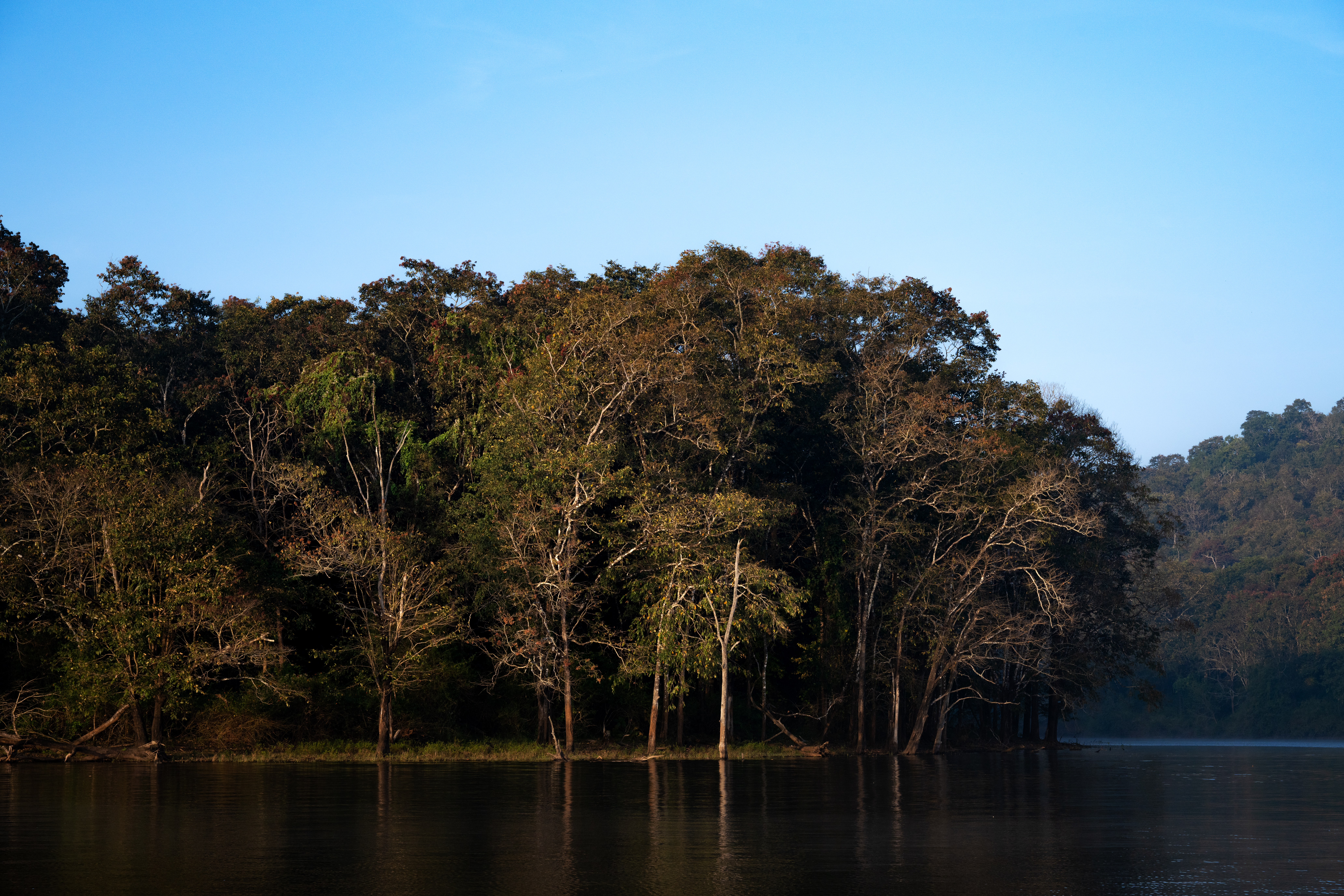 Muthodi Forest