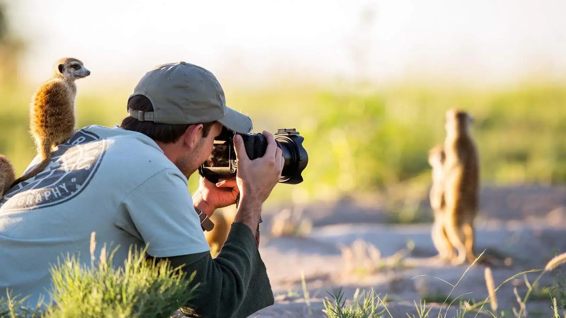 Wildlife Photography