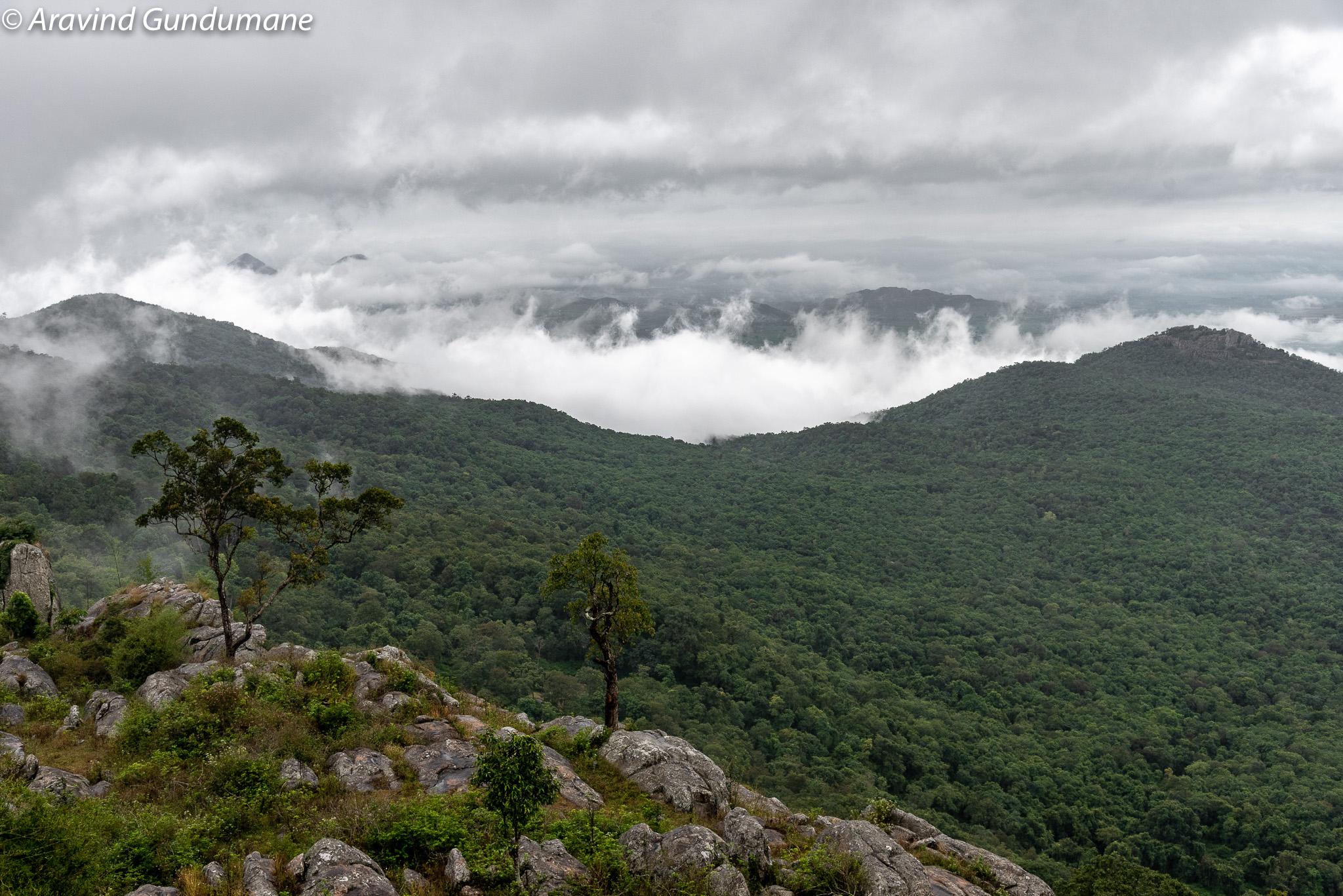 Ranganabetta Trek